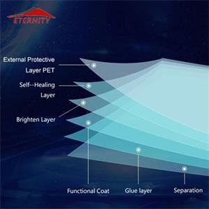 TPU Car Paint Protection Film (5)